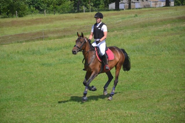 reitertag 2013 270